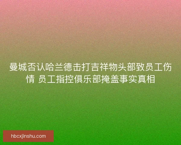 曼城否认哈兰德击打吉祥物头部致员工伤情 员工指控俱乐部掩盖事实真相