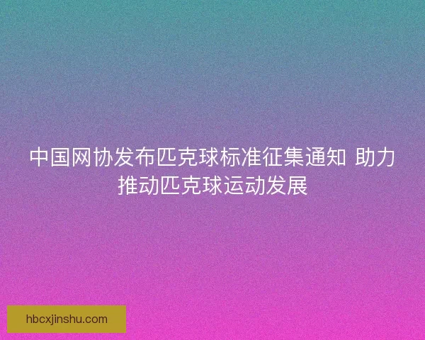 中国网协发布匹克球标准征集通知 助力推动匹克球运动发展